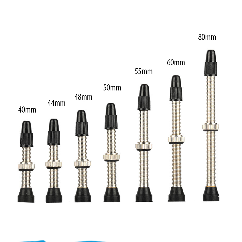 자전거 튜브리스 프레스타 밸브 스템 40 44 48 6 - Tubeless Valve Core 리뷰 및 가격